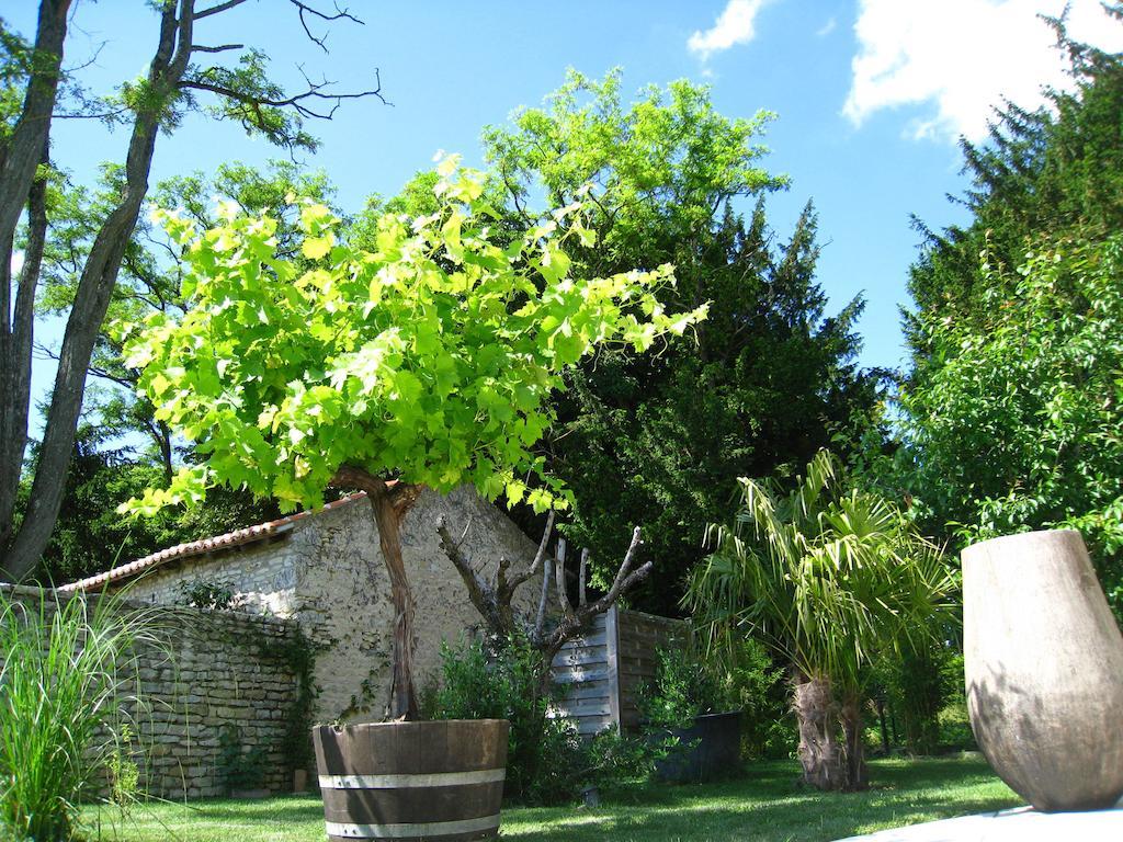Le Chai De Villiers Habitación foto