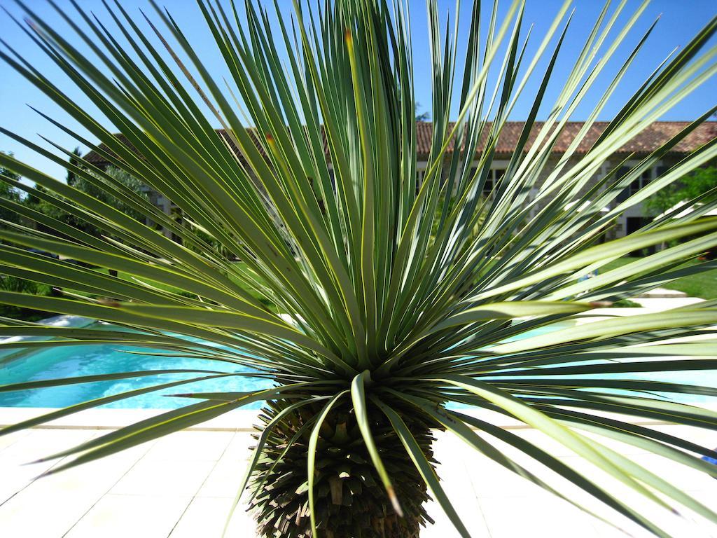 Le Chai De Villiers Habitación foto